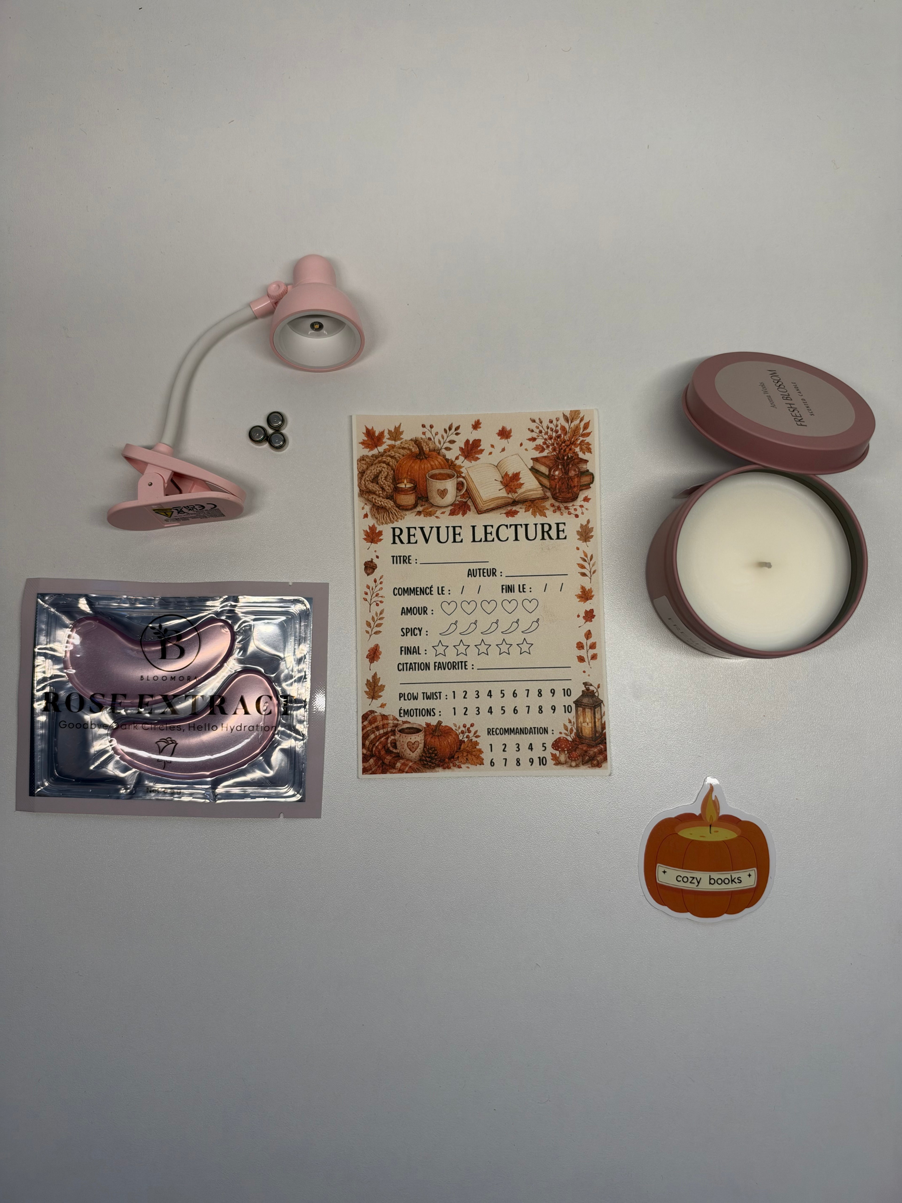 Box lecture d’automne girly cocooning🍁🩷