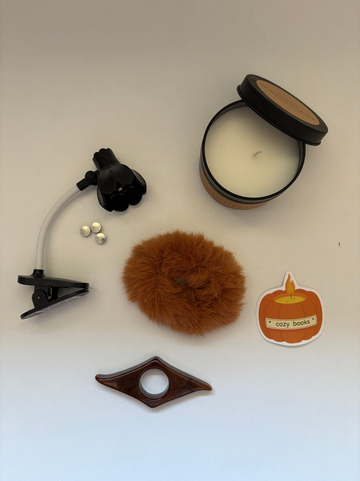 Box lecture d'automne - pochette et carnet de lecture 🤎